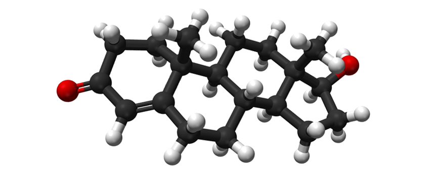 Testosterona