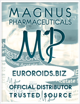 Magnus official distributor